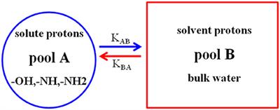 Nanomedicine Particles Associated With Chemical Exchange Saturation Transfer Contrast Agents in Biomedical Applications